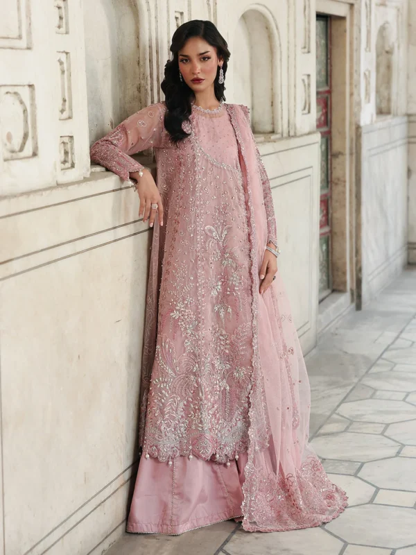 Allys Official Rahi organza masoori party wear sharara with sequin embroidery and 3D detailing