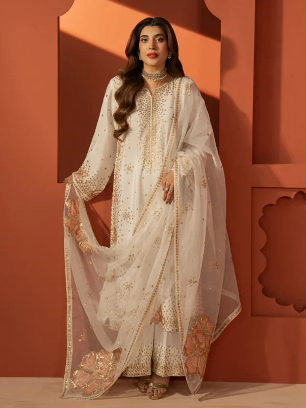Mohagni embroidered raw silk formal wear 3-piece suit in traditional multicolor embroidery