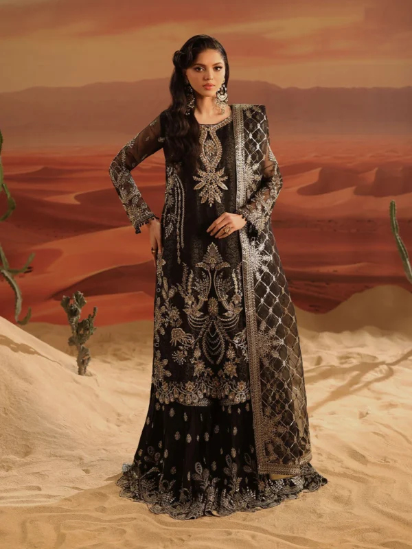 ShahJahan Official black organza gharara set with silver embellishments — luxury Pakistani party wear