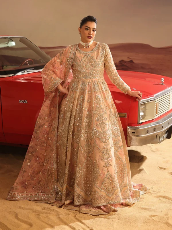 ShahJahan Official peach embroidered organza 3-piece luxury party wear formal dress