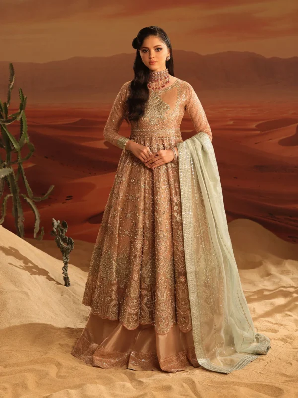 ShahJahan Official pink embroidered organza maxi party wear – Lina Festive Collection front view